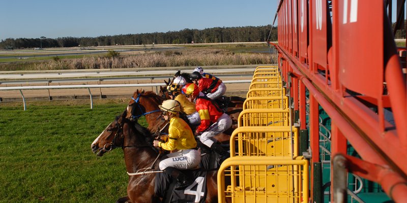 Jockeys at the gate