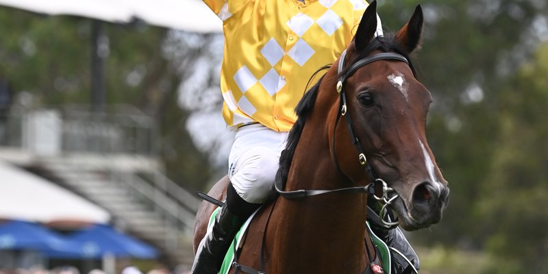 A jockey waving on a horse