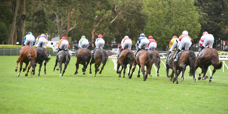 Jockeys racing in Warwick Farm