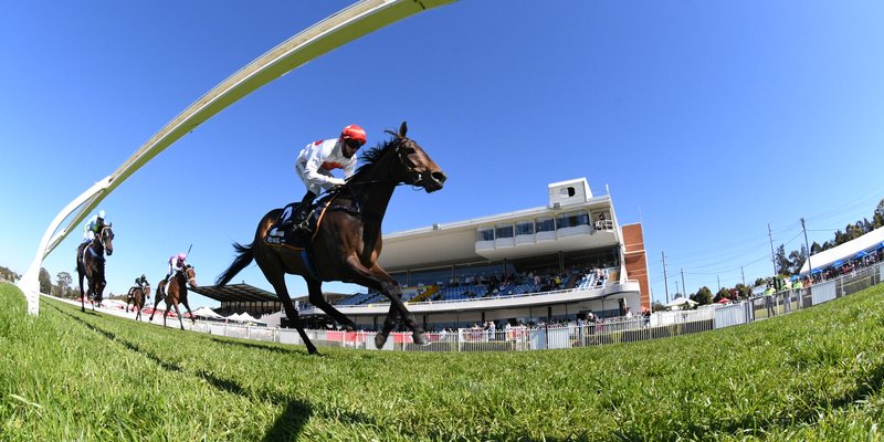 Fisheye lens of a horse racing